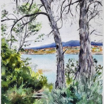 View from the garrigue